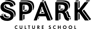 SPARK CULTURE SCHOOL